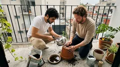 No tires ese colador viejo: el truco sencillo para que tus macetas drenen mejor