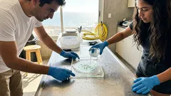 Así reveló un rompehielos la vida escondida del Océano Antártico: pistas de un mar que se calienta