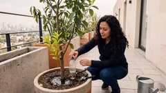 Cómo usar el truco de la botella enterrada junto al limonero para que el riego rinda más (sin mitos)