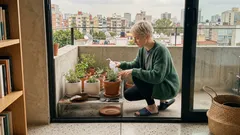Jardín casero en macetas: 7 hierbas aromáticas fáciles para tu balcón o terraza