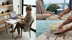 La IA revela que tiburones y rayas no colapsaron tras el asteroide que acabó con los dinosaurios