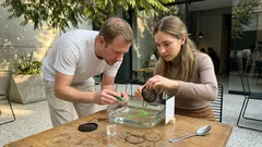 El impulso de la luz en el vidrio y el agua: la pista cuántica detrás de una disputa centenaria